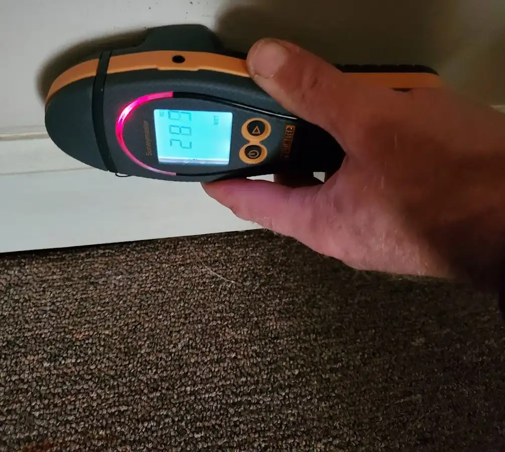 Moisture detection at baseboard during Sewage Cleanup & Sanitation in Plymouth